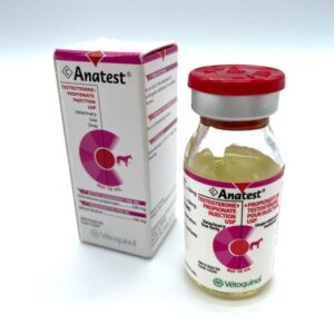 Anatest-Testosterone Propionate 100mg/ml (10ml Bottle)